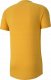 Puma Koszulka męska Puma Evostripe Lite Tee żółta 581534 25 S 5
