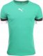 Puma Koszulka męska Puma teamRISE Jersey zielona 704932 05 M 1