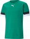 Puma Koszulka męska Puma teamRISE Jersey zielona 704932 05 M 6