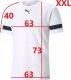 Puma Koszulka męska Puma teamRISE Jersey biała 704932 04 S 1