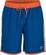 Arena Spodenki Kapielowe Męskie Arena Icons Team Stripe Bermuda Blue/Orange R.XL 8