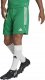 Adidas Spodenki męskie adidas Tiro 23 League zielone IB8087 2XL 5