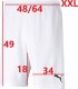 Puma Spodenki męskie Puma teamRISE Short białe 704942 03 S 7