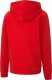 Puma Bluza dla dzieci Puma teamGOAL 23 Casuals Hoody Jr czerwona 656711 01 152 5