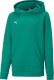 Puma Bluza dla dzieci Puma teamGOAL 23 Casuals Hoody Jr zielona 656711 05 116 1