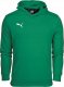 Puma Bluza dla dzieci Puma teamGOAL 23 Casuals Hoody Jr zielona 656711 05 116 4
