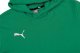 Puma Bluza dla dzieci Puma teamGOAL 23 Casuals Hoody Jr zielona 656711 05 116 5