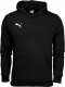 Puma Bluza dla dzieci Puma teamGOAL 23 Casuals Hoody Jr czarna 656711 03 128 1