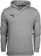 Puma Bluza dla dzieci Puma teamGOAL 23 Casuals Hoody Jr Medi szara 656711 33 116 1