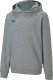 Puma Bluza dla dzieci Puma teamGOAL 23 Casuals Hoody Jr Medi szara 656711 33 116 2