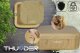 Jacuzzi ogrodowe Thunder Frappe 185 cm x 65 cm 4