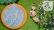 Jacuzzi ogrodowe Thunder Basen z hydromasażem 6-osobowy jacuzzi THUNDER MOCHA + szare meble rattanowe - 4 sztuki 10