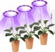 Heckermann Lampa LED plant PIERŚCIEŃ TSH-G1-2 - 3 głowice - Fioletowy 1