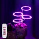 Heckermann Lampa LED plant PIERŚCIEŃ TSH-G1-2 - 3 głowice - Fioletowy 5