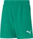 Puma Spodenki dla dzieci Puma teamRISE Short Jr zielone 704943 05 164cm 1