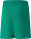 Puma Spodenki dla dzieci Puma teamRISE Short Jr zielone 704943 05 164cm 1