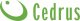 Glebogryzarka Cedrus Glebogryzarka GL01 CEDRUS Spalinowa + 7-elementowy zestaw akcesoriów 4