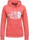 The North Face Bluza z kapturem The North Face STANDARD HD FADED ROSE Damska XS 1