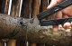 Nextool Multitool elektryczny Gemini 13-in-1 NE20213 8