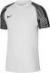 Nike Koszulka Nike Dri-Fit Academy SS M DH8031-104 1