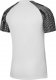 Nike Koszulka Nike Dri-Fit Academy SS M DH8031-104 1