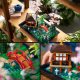 LEGO Icons Zaciszny ogród (10315) 1