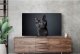 Telewizor Samsung Telewizor OLED 55 cali QE55S90CATXXH 4