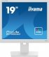 Monitor iiyama ProLite B1980D-W5 1