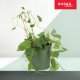 Kadax Drabinka Bambusowa Pergola Podpora 45 cm 5 szt 7