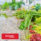 Kadax Podpora Podpórka Do Roślin Kwiatów Róż Stal 60 cm 2