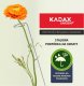 Kadax Podpora Podpórka Do Roślin Kwiatów Róż Stal 60 cm 4