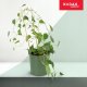 Kadax Drabinka Bambusowa Podpora Pnączy Podwójna 38cm 6