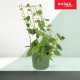 Kadax Drabinka Bambusowa Podpora Pnączy Potrójna 46cm 3