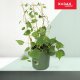Kadax Drabinka Bambusowa Podpora Pnączy Potrójna 60cm 3