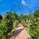 Kadax Pergola Ogrodowa Metalowa Łuk Na Kwiaty Róże 281cm 2