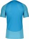 Nike Koszulka Nike Academy M DQ5053 499 1
