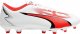 Puma Buty piłkarskie Puma Ultra Play FG/AG M 107423 01 1
