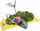 Kadax Doniczka Donica Osłonka Ikebana Kompozycja Żółta 1