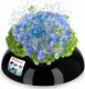 Kadax Doniczka Osłonka Ikebana Kompozycja Czarna 9,5 cm 1