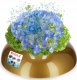 Kadax Doniczka Osłonka Ikebana Kompozycja Złota 9,5 cm 1