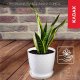Kadax Doniczka + Podstawka Donica Biała 25cm Kolory 2