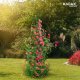 Kadax Piramida Pergola Ogrodowa Na Pnącza Róże 150 cm 4