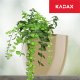 Kadax Doniczka Osłonka Na Kwiaty Kwadratowa Beżowa 12cm 6