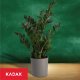 Kadax Doniczka Osłonka Na Kwiaty Ekologiczna Szara 19cm 6