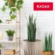 Kadax Doniczka Donica Wkład Osłonka Na Kwiaty Brąz 30cm 7