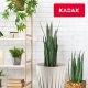 Kadax Doniczka Donica Wkład Osłonka Na Kwiaty Krem 14cm 3