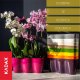 Kadax Doniczka Osłonka Na Storczyk Kwiaty Beżowa 35cm 4