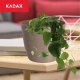 Kadax Doniczka Osłonka Na Kwiaty Okrągła Beżowa 11 cm 7