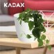 Kadax Doniczka Osłonka Na Kwiaty Owalna Biała 11 cm 6