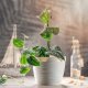 Kadax Doniczka Osłonka Na Kwiaty Okrągła Kremowa 11 cm 9